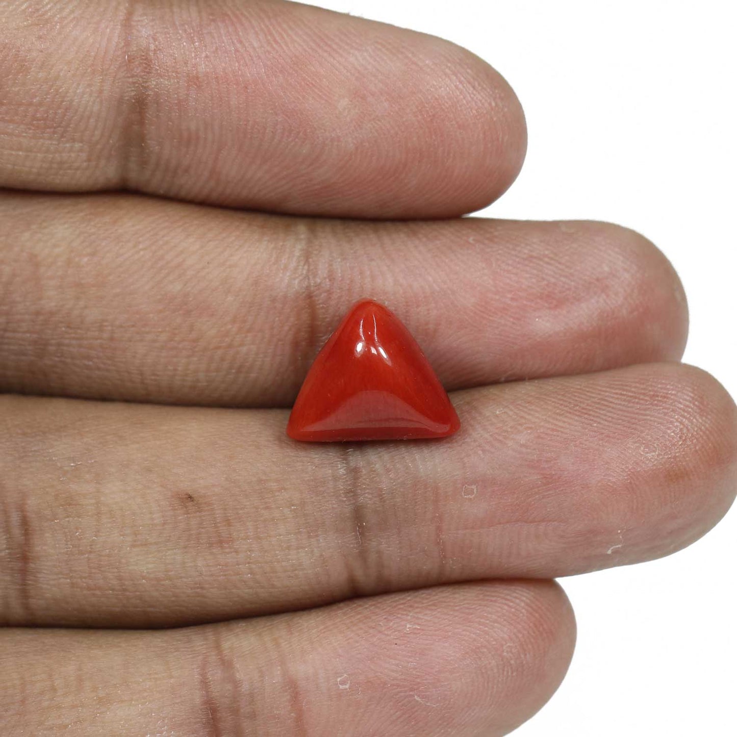 Red Coral (Moonga) - 7.68 Carat