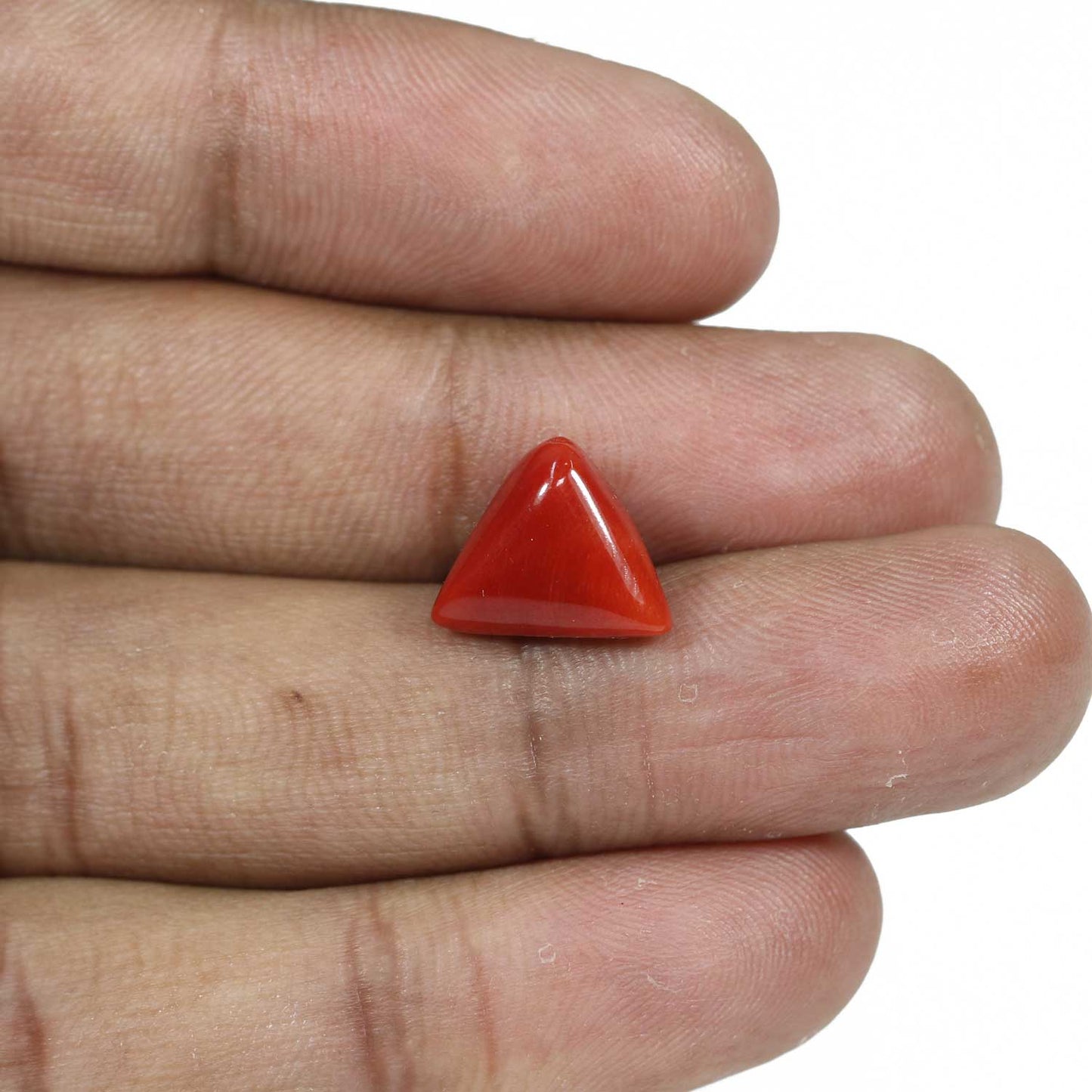 Red Coral (Moonga) - 7.68 Carat