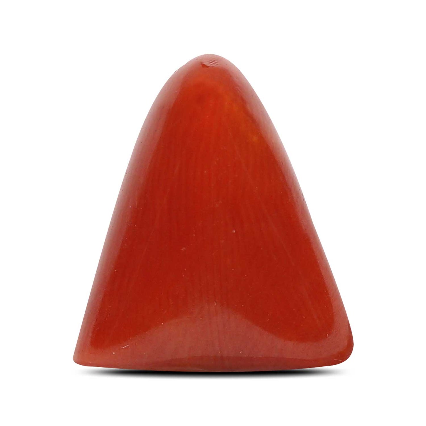 Red Coral (Moonga) - 8.11 Carat