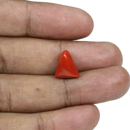 Red Coral (Moonga) - 8.11 Carat