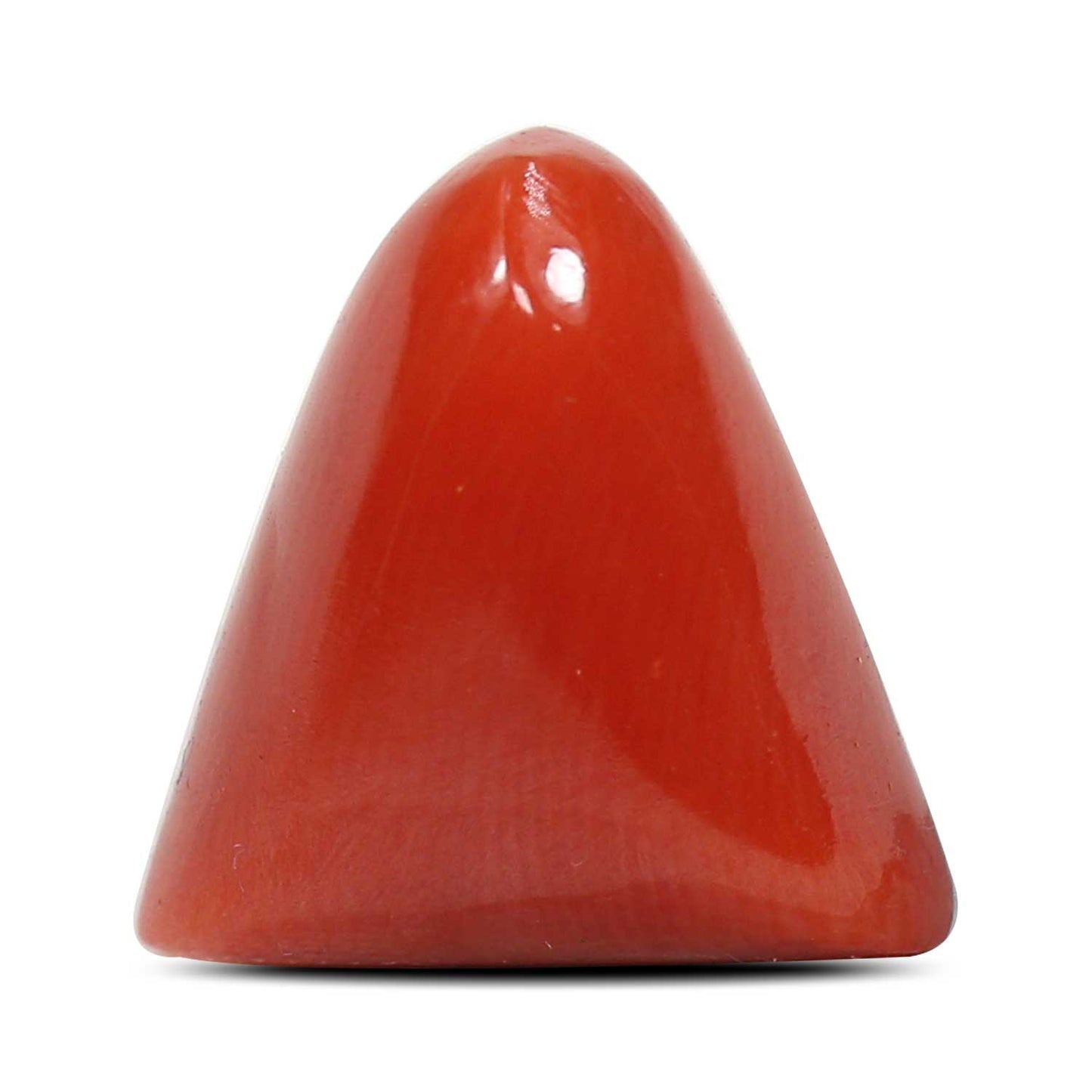 Red Coral (Moonga) - 6.99 Carat