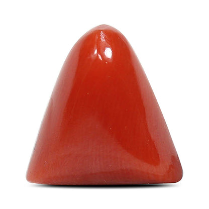 Red Coral (Moonga) - 6.99 Carat