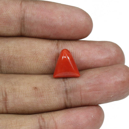 Red Coral (Moonga) - 6.99 Carat