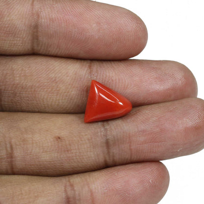 Red Coral (Moonga) - 6.99 Carat
