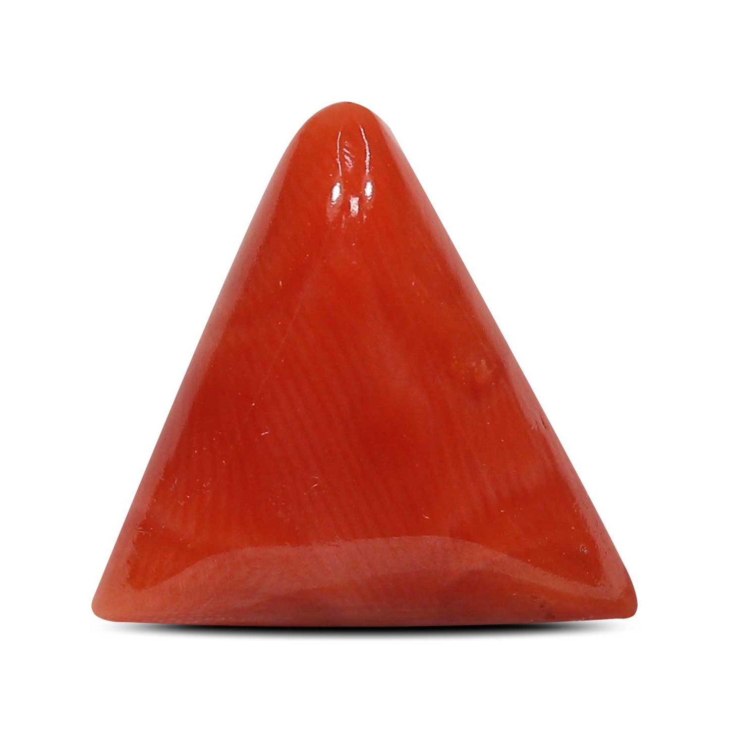 Red Coral (Moonga) - 6.62 Carat