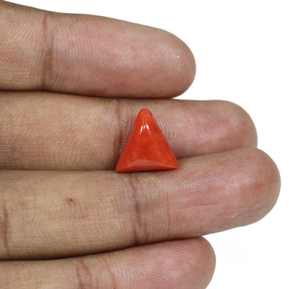Red Coral (Moonga) - 6.62 Carat