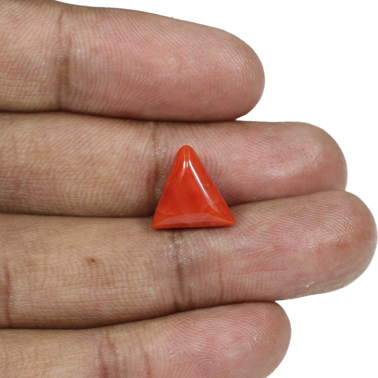 Red Coral (Moonga) - 6.62 Carat