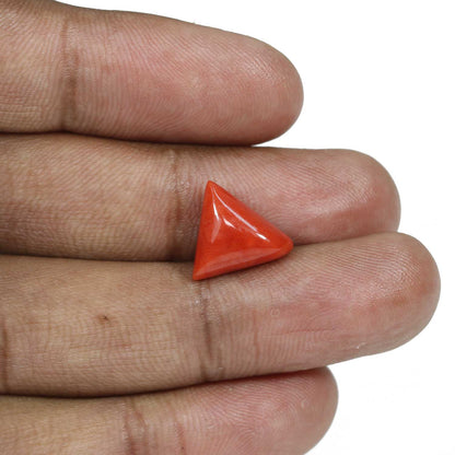 Red Coral (Moonga) - 6.62 Carat