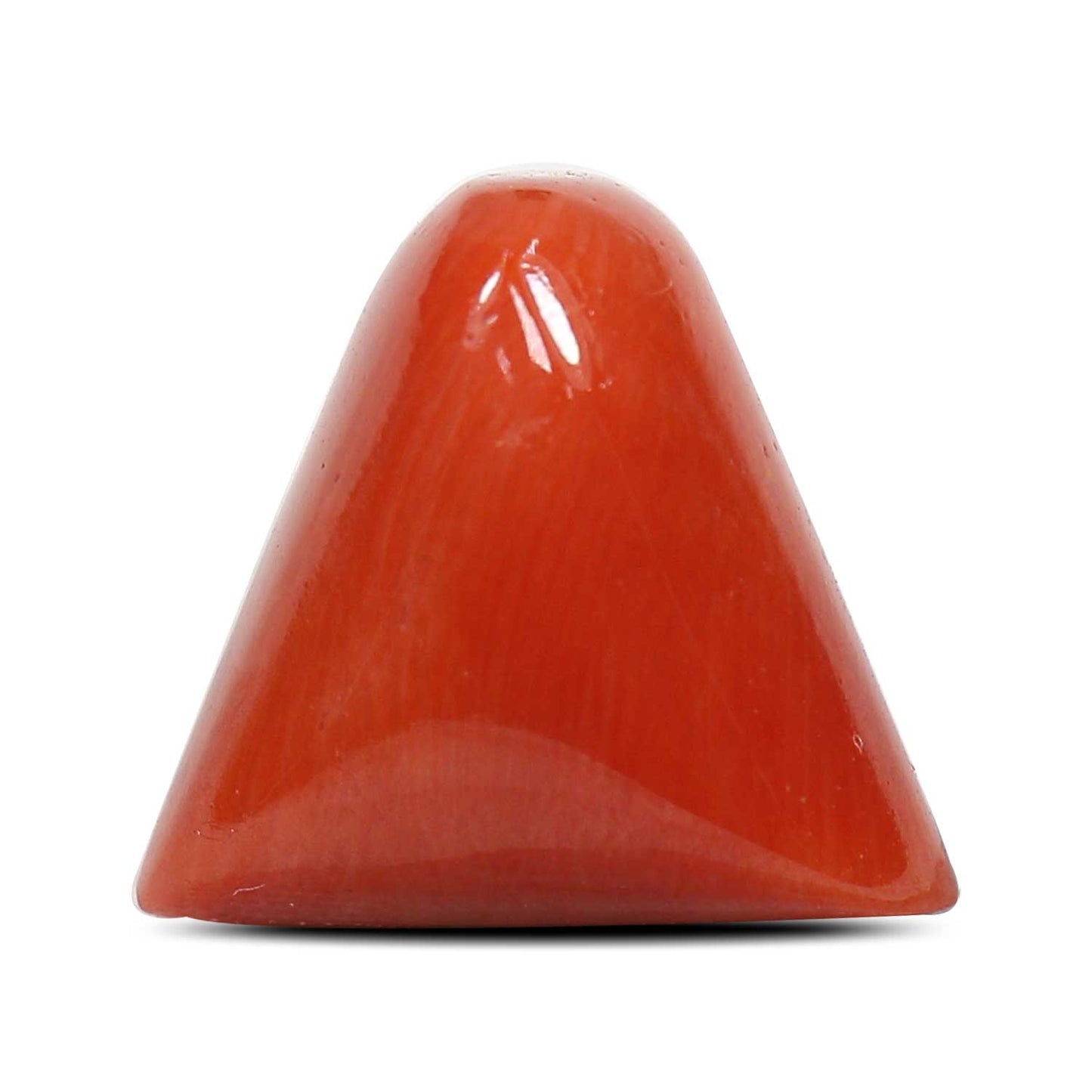 Red Coral (Moonga) - 8.03 Carat