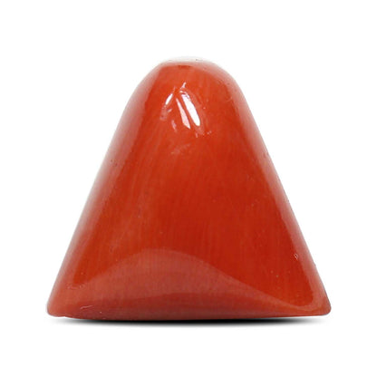Red Coral (Moonga) - 8.03 Carat