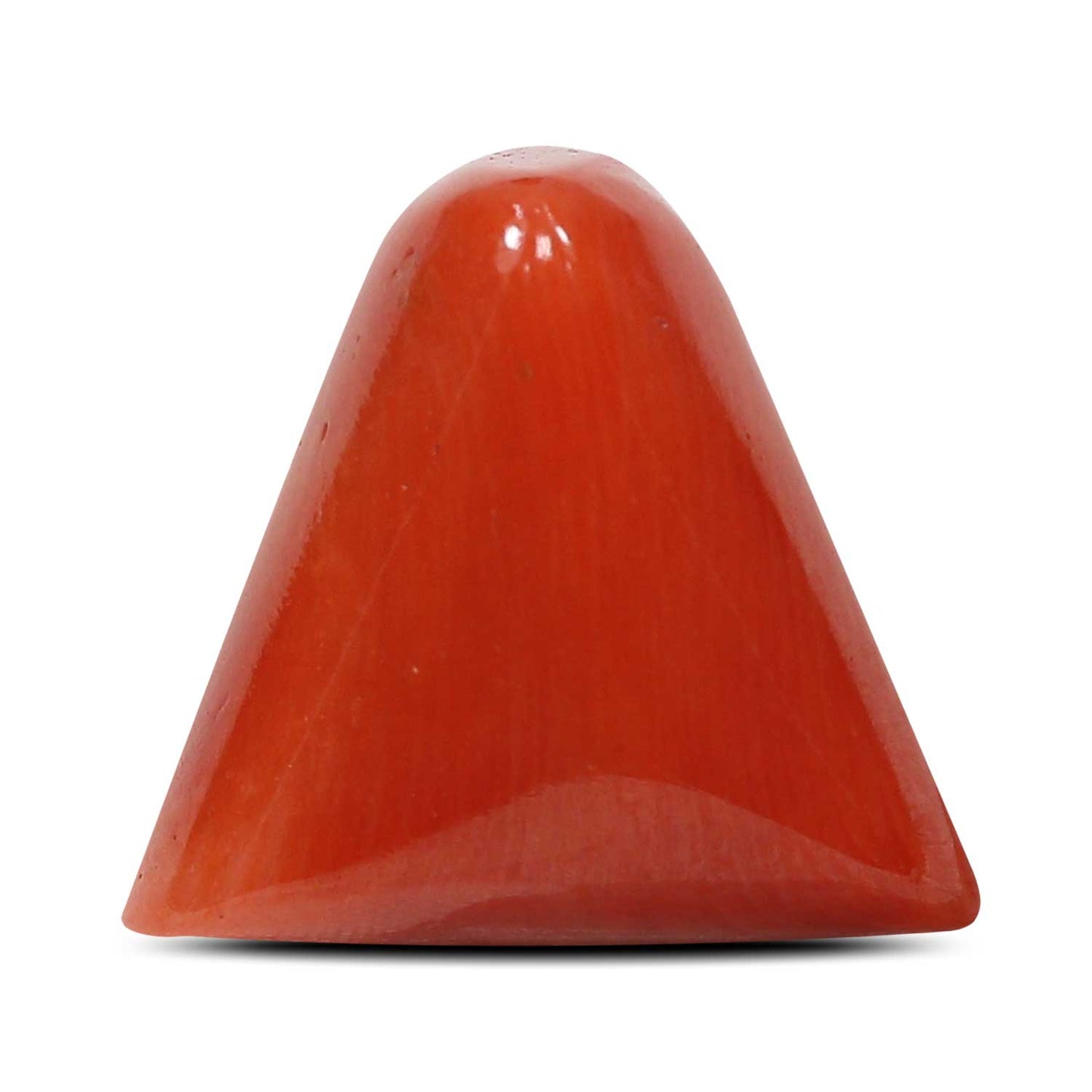 Red Coral (Moonga) - 8.03 Carat
