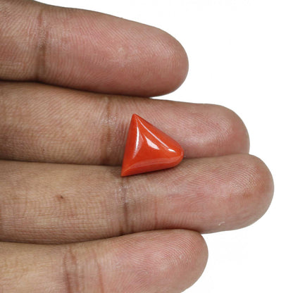 Red Coral (Moonga) - 8.03 Carat