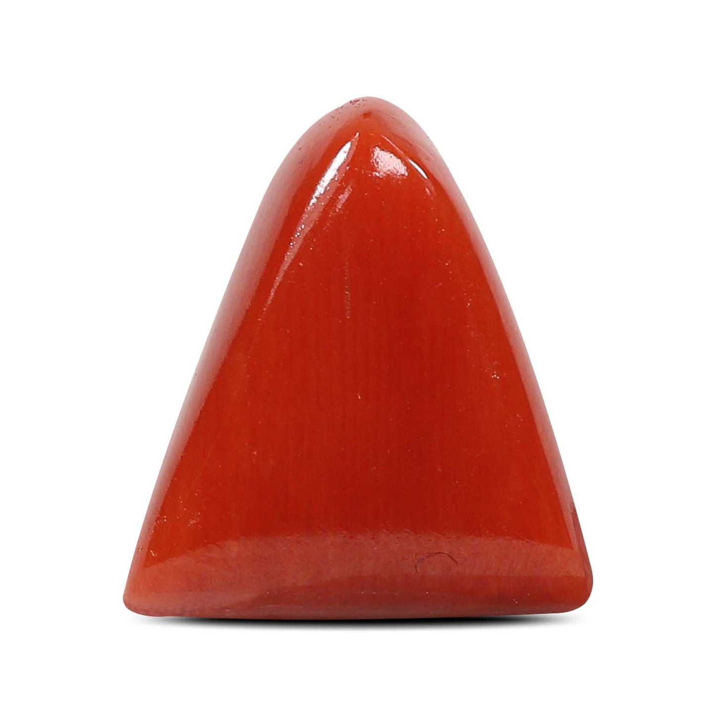 Red Coral (Moonga) - 7.21 Carat
