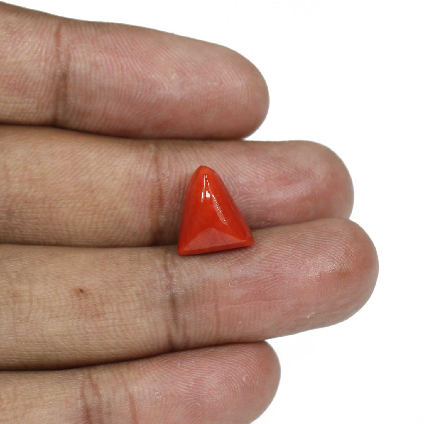 Red Coral (Moonga) - 7.21 Carat