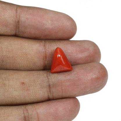 Red Coral (Moonga) - 7.21 Carat