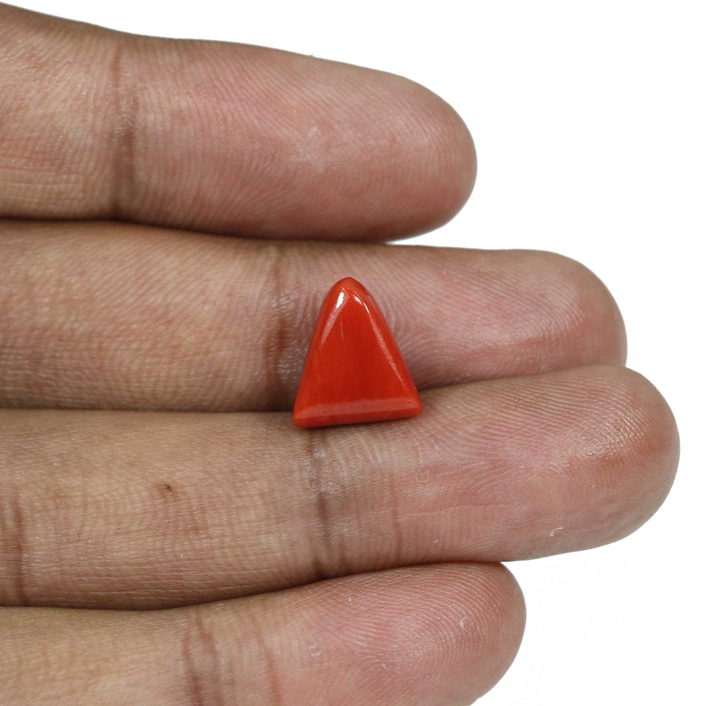 Red Coral (Moonga) - 7.21 Carat