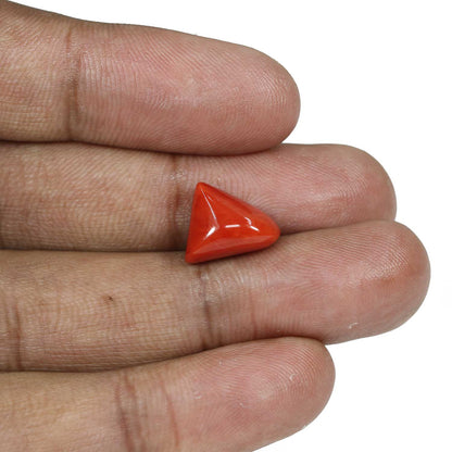 Red Coral (Moonga) - 7.21 Carat