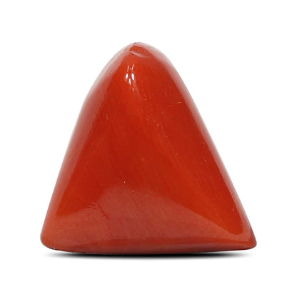 Red Coral (Moonga) - 6.47 Carat