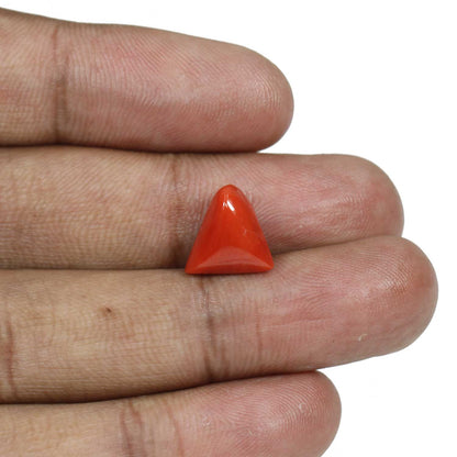 Red Coral (Moonga) - 6.47 Carat
