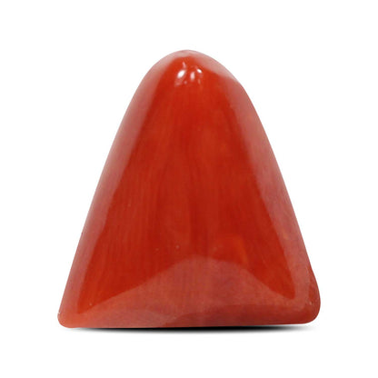 Red Coral (Moonga) - 7.26 Carat