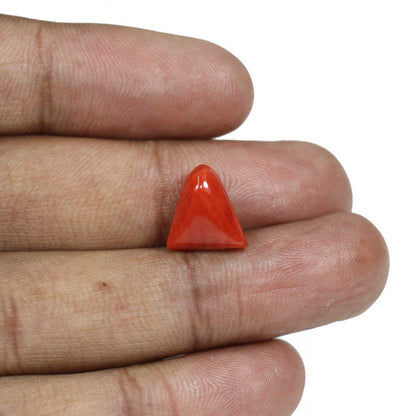 Red Coral (Moonga) - 7.26 Carat