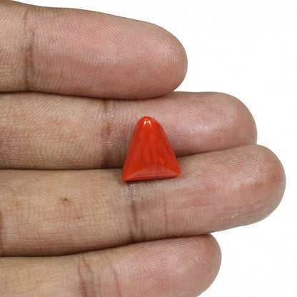 Red Coral (Moonga) - 7.26 Carat