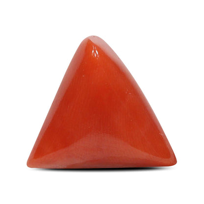 Red Coral (Moonga) - 6.81 Carat