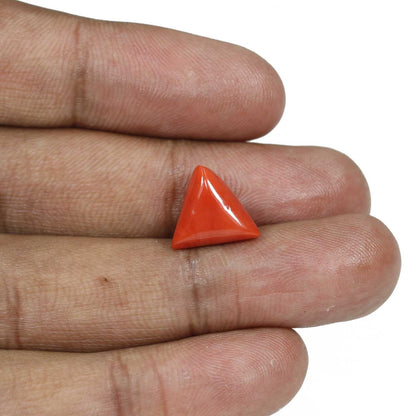 Red Coral (Moonga) - 6.81 Carat