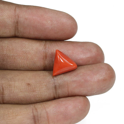 Red Coral (Moonga) - 6.81 Carat