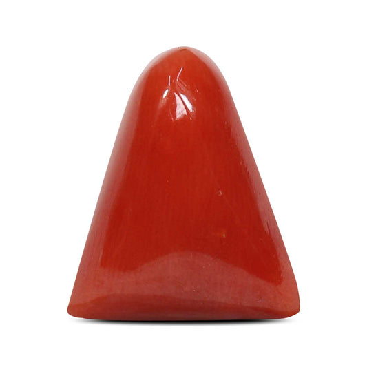 Red Coral (Moonga) - 8.44 Carat