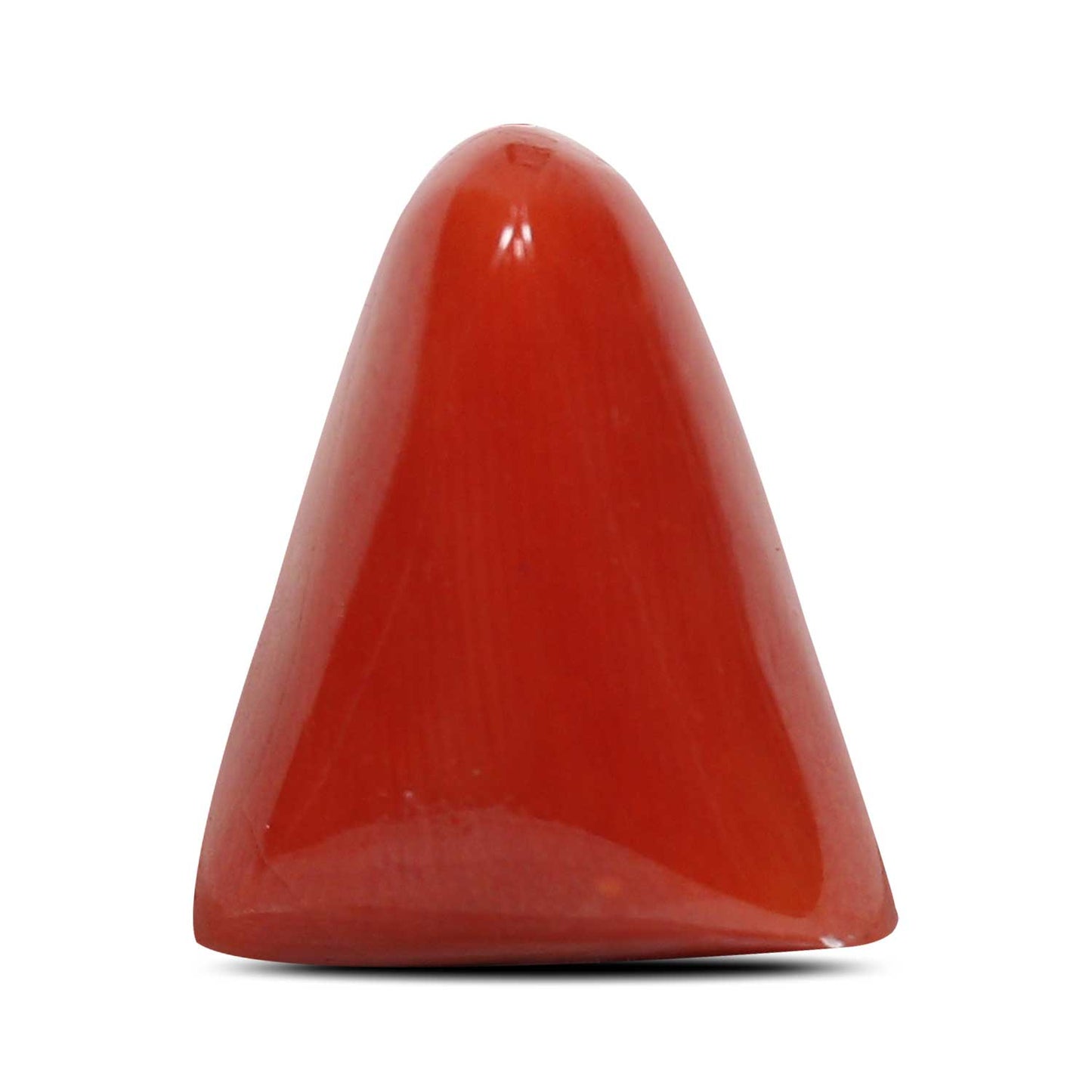 Red Coral (Moonga) - 8.44 Carat
