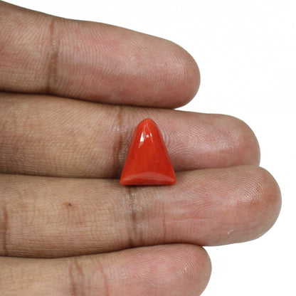 Red Coral (Moonga) - 8.44 Carat