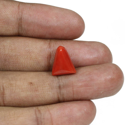 Red Coral (Moonga) - 8.44 Carat