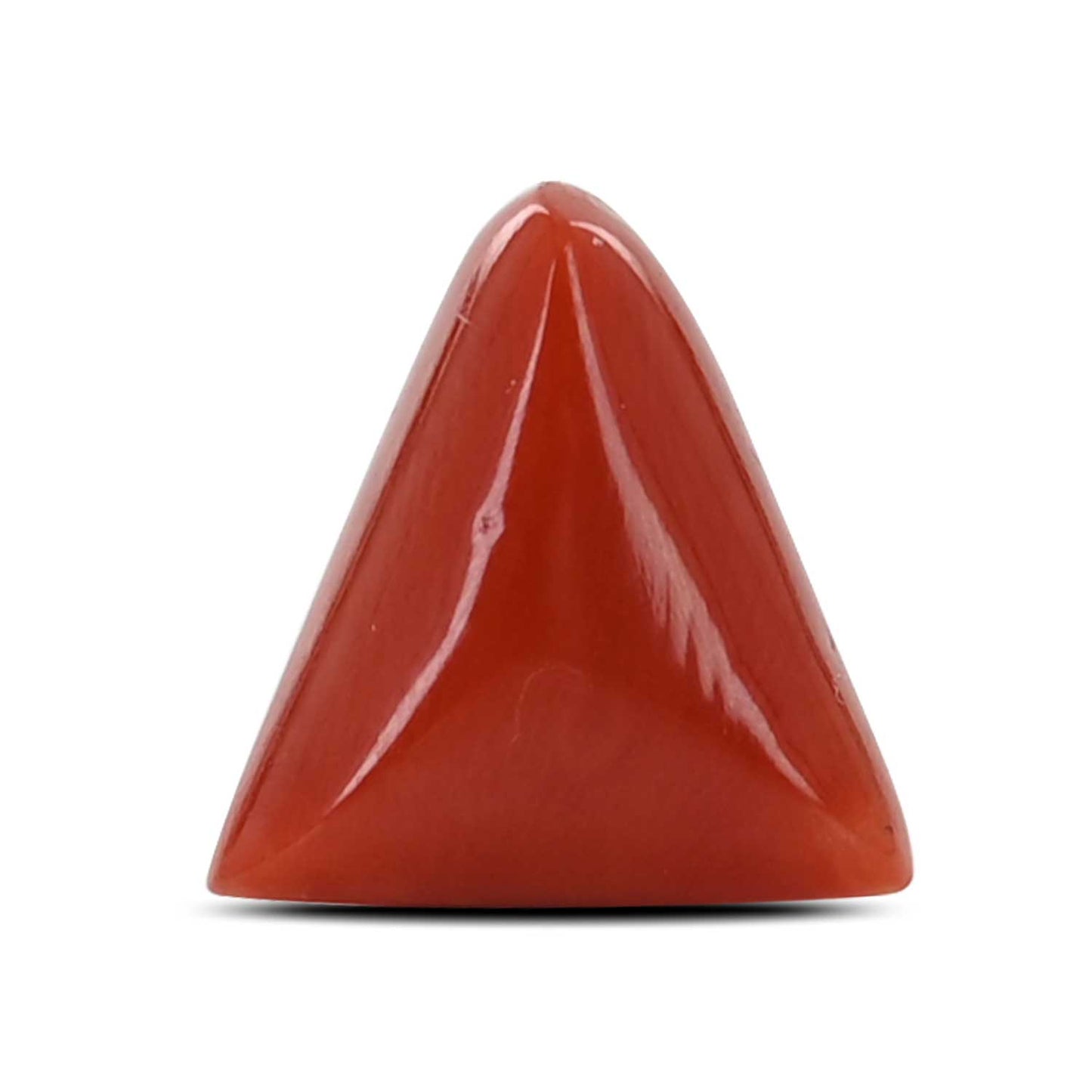Red Coral (Moonga) - 6.74 Carat