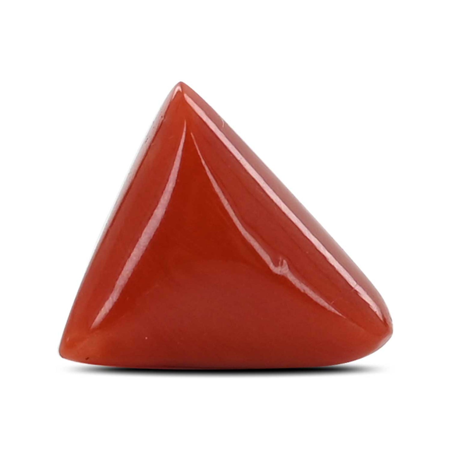 Red Coral (Moonga) - 6.74 Carat