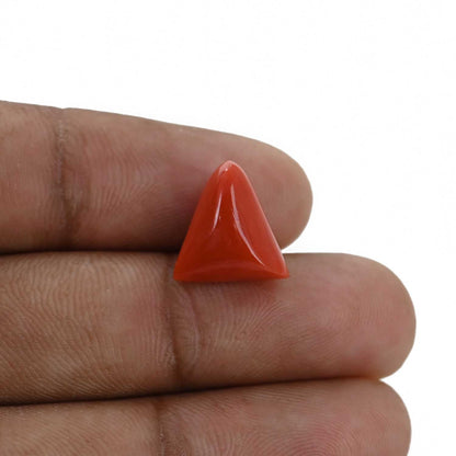 Red Coral (Moonga) - 6.74 Carat