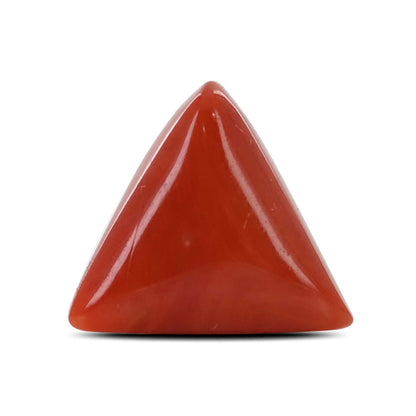 Red Coral (Moonga) - 7.2 Carat
