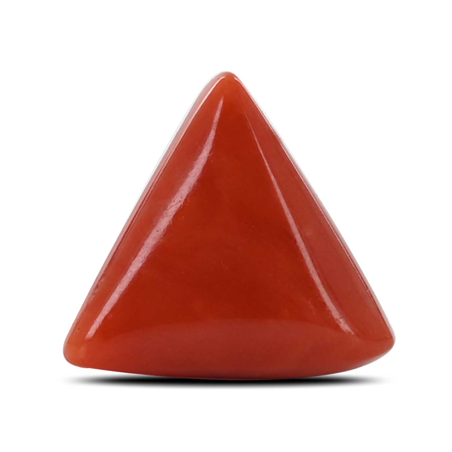 Red Coral (Moonga) - 7.2 Carat
