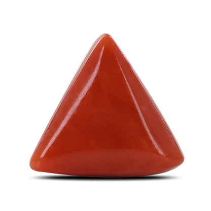 Red Coral (Moonga) - 7.2 Carat