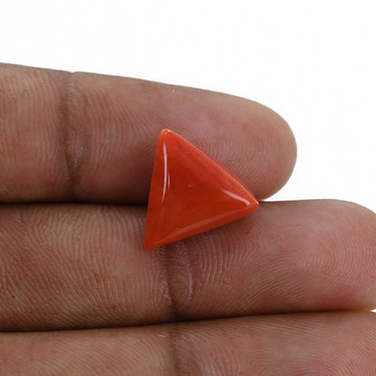 Red Coral (Moonga) - 7.2 Carat