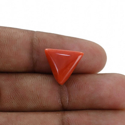 Red Coral (Moonga) - 7.2 Carat