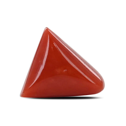 Red Coral (Moonga) - 6.7 Carat