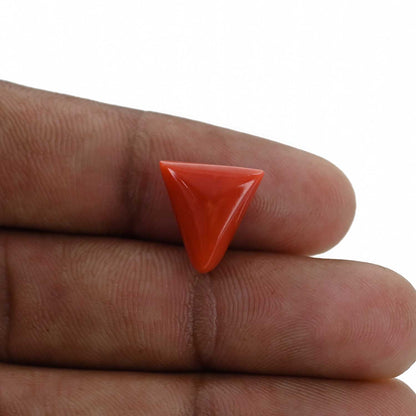 Red Coral (Moonga) - 6.7 Carat