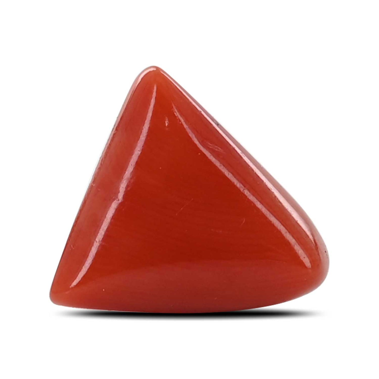 Red Coral (Moonga) - 6.32 Carat