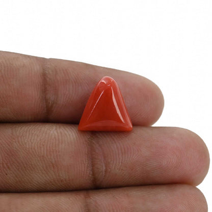 Red Coral (Moonga) - 6.32 Carat