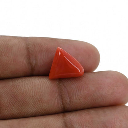 Red Coral (Moonga) - 6.32 Carat