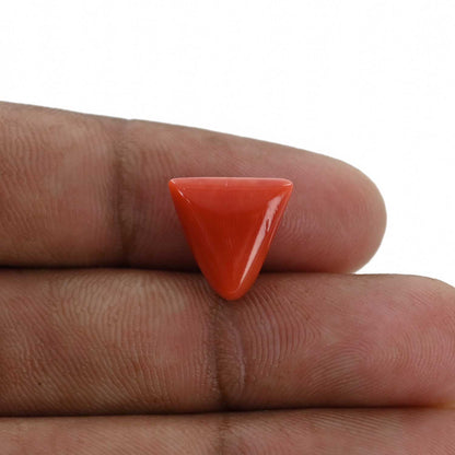 Red Coral (Moonga) - 6.32 Carat