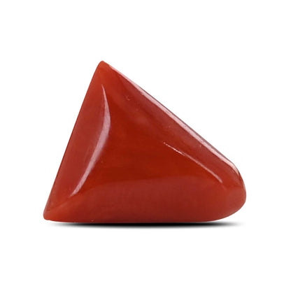 Red Coral (Moonga) - 6.5 Carat