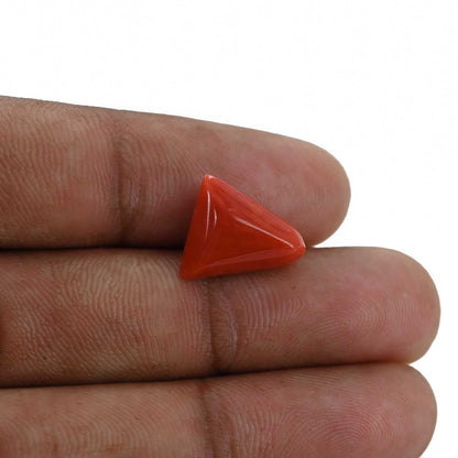 Red Coral (Moonga) - 6.5 Carat