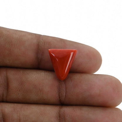 Red Coral (Moonga) - 6.5 Carat